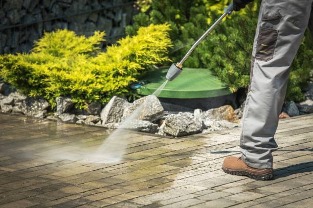 Professional Pressure Washing in Ceredo, WV